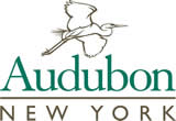 Audubon New York