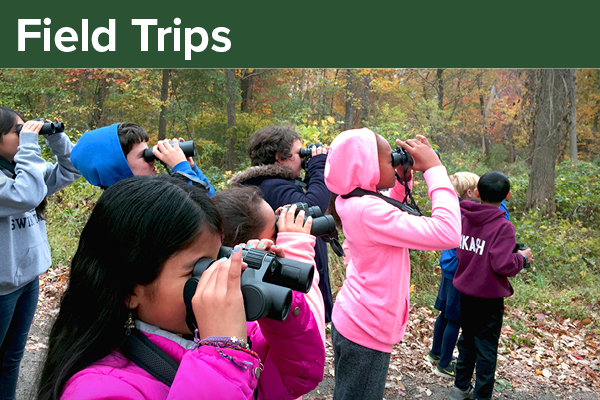 Field Trips