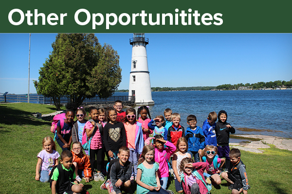 Other Opportunities