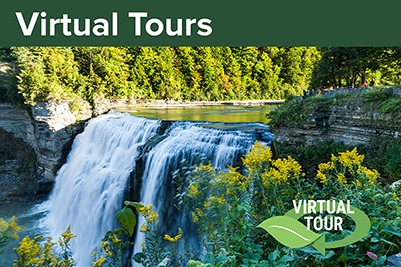 Virtual Tours