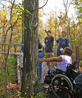 Tree identification Program