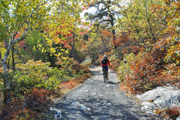 Biking at Minnewaska State Park