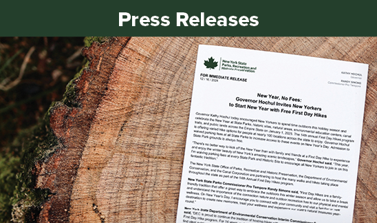 Press Releases. A piece if white paper laying on the stump of a tree. There is moss on the bark of the tree. On the piece of paper in the upper left-hand corner is there is a golden maple leaf outline with the green text breaking the right side of the outline. The text reads, "100 years." Next to the maple leaf is the text, "New York State Parks, Recreation, and Historic Preservation." In the center of the page in black is the text, "Governor Hochul Celebrates New York State Parks and Historic Sites Centennial."