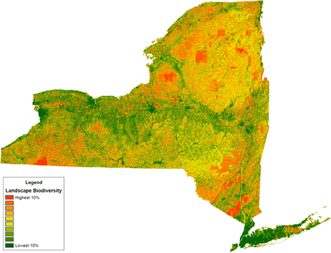 Landscape Biodiversity Map with Legend